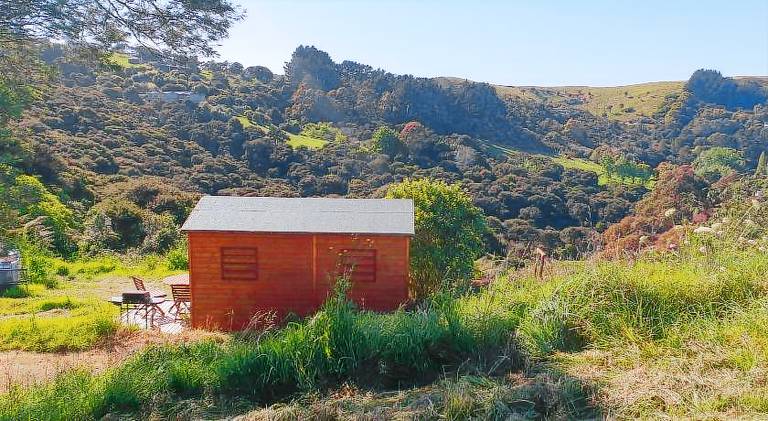Wild Days Accommodation in Auckland