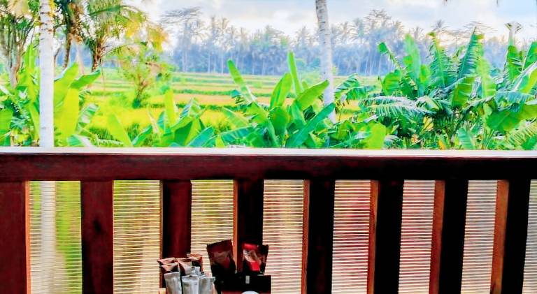 Ample villa with pool | Pets allowed — photo 3
