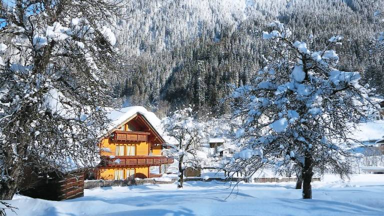 Ferienwohnung Partenen