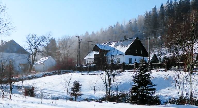 Dom  Pokrzywna