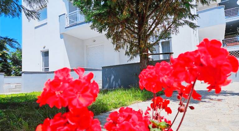 Holiday apartment with 1 room for 5 persons — photo 4
