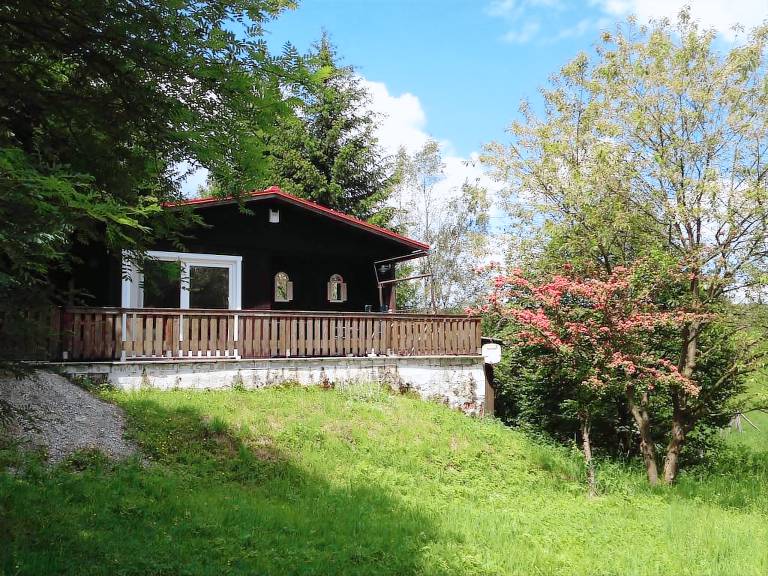 Ferienhaus Benneckenstein (Harz)