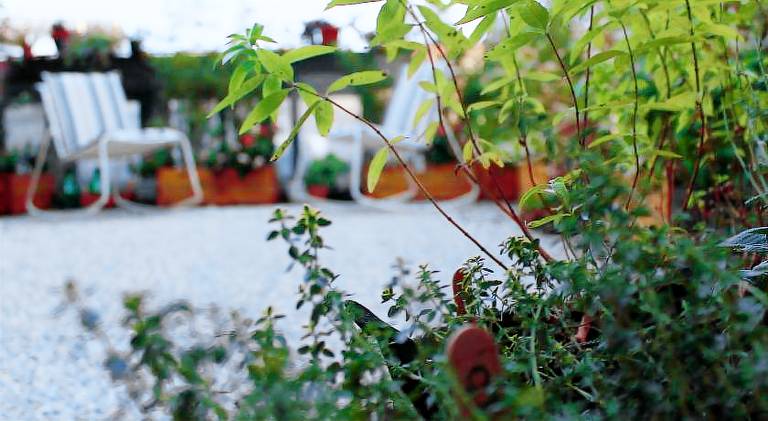 Holiday apartment | Near Mole Antonelliana — photo 5