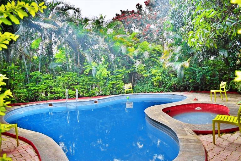 Dolphin Resort