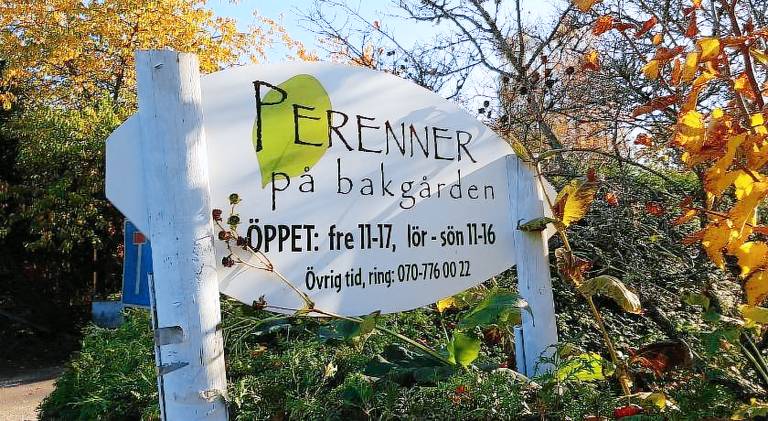 Perenner pa bakgarden in Motala