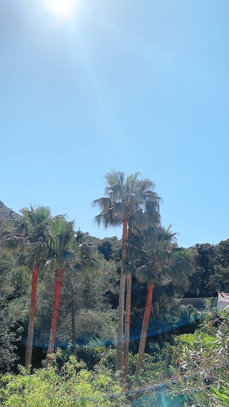foto2