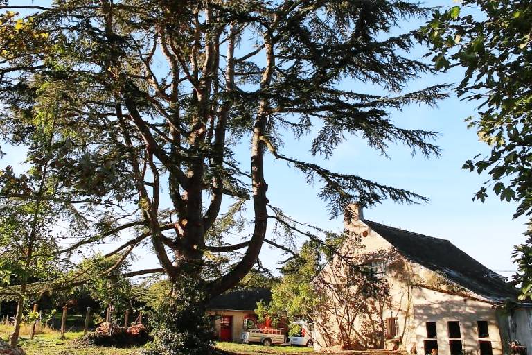 Gîte Saint-Aubin-le-Dépeint