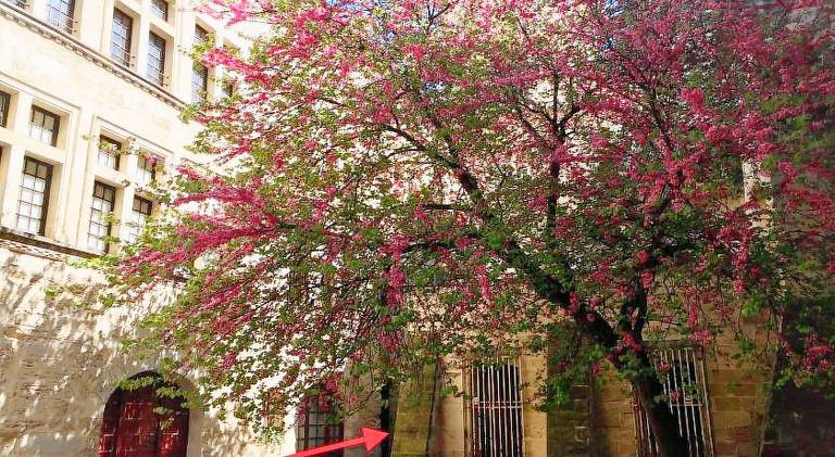 Rental apartment with 2 rooms for 4 persons in Uzès