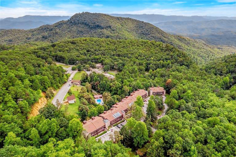 Bearadise Mountain Getaway — photo 4