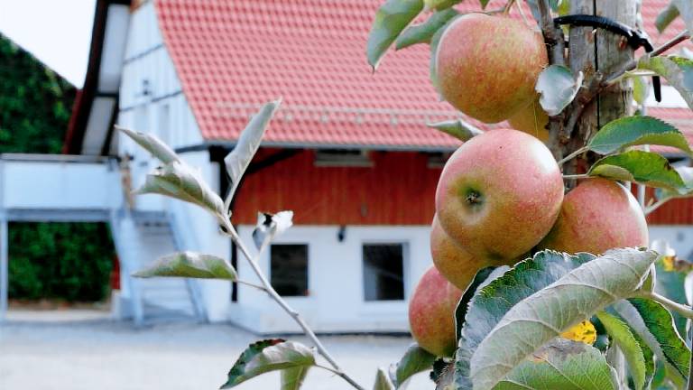 Ferienhaus  Ailingen