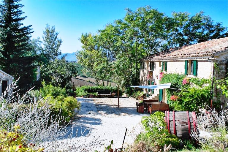 Cottage Cupramontana
