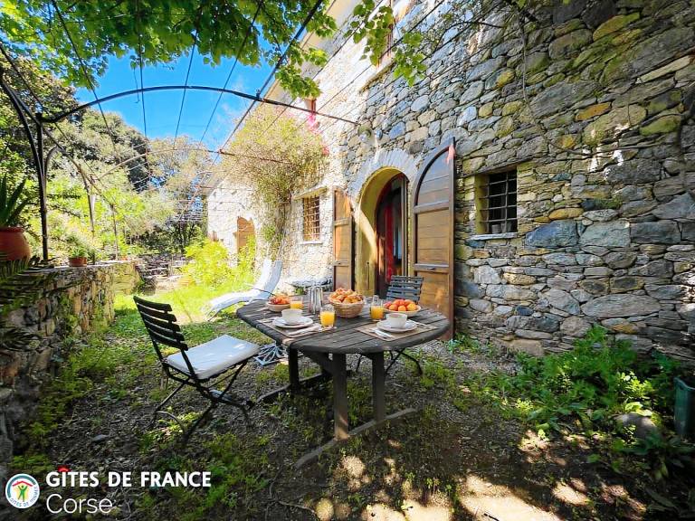 LEVENTE — photo 3