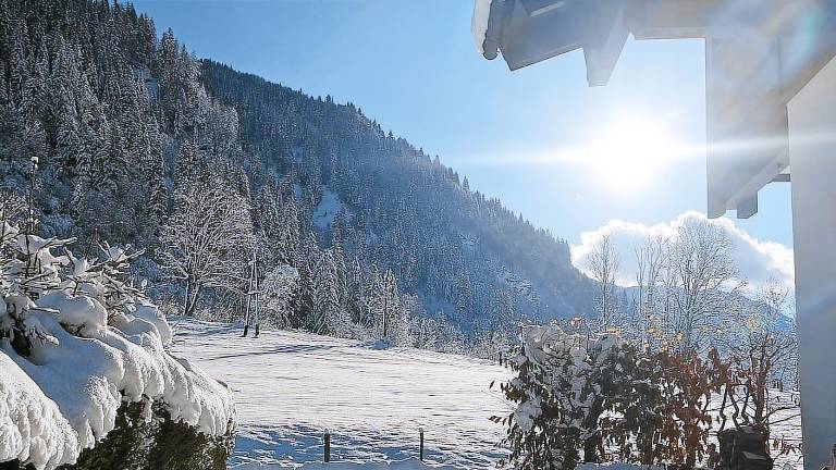 Ferienwohnung  Dorfgastein