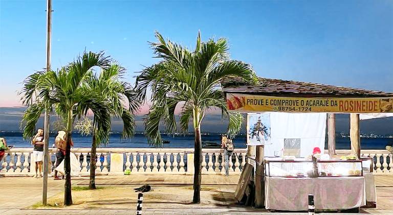 Charming rental apartment | Next to the beach | Dogs allowed — photo 4