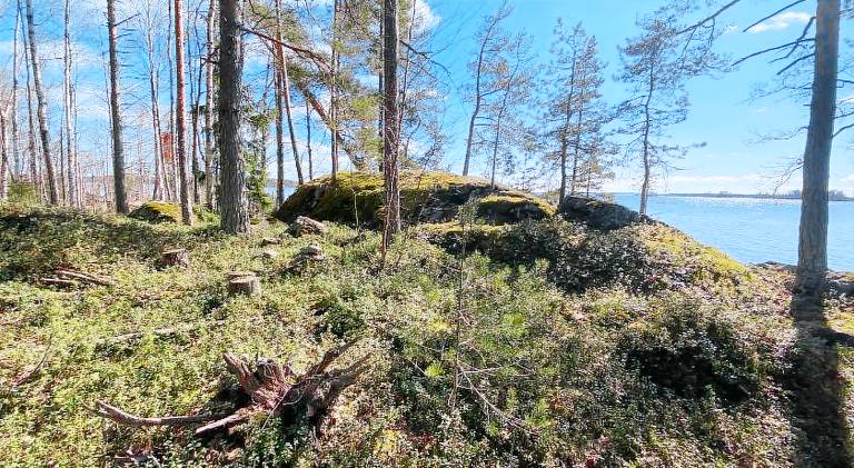 Lammassaari — photo 4