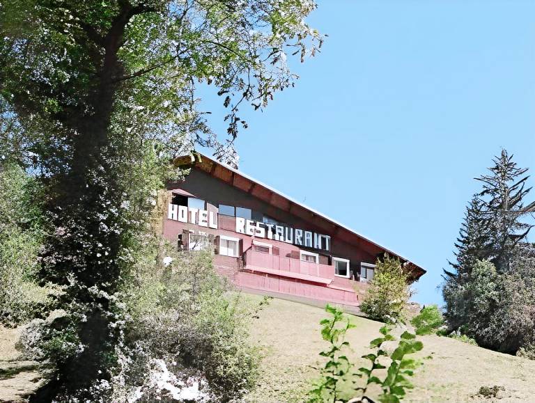 Edelweiss in Samoëns