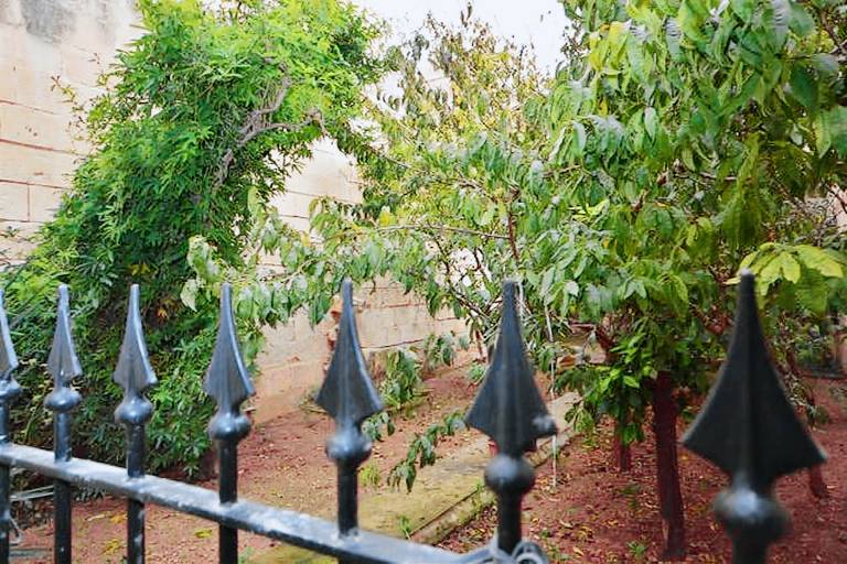Private room  Mosta