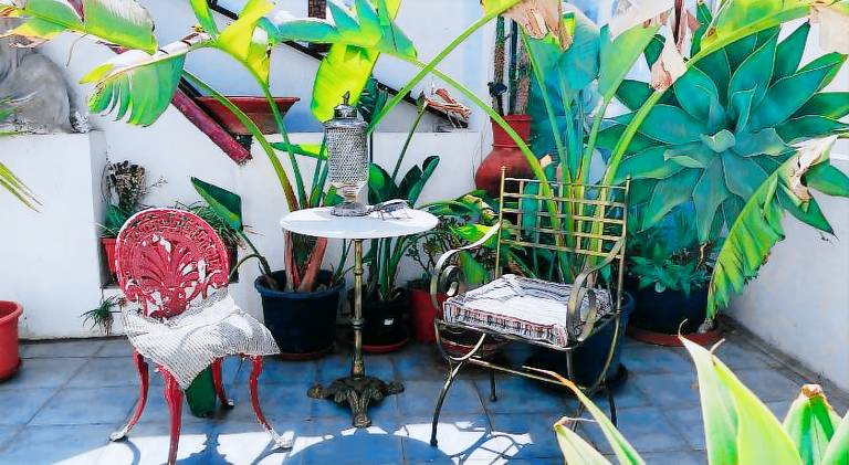 Rental apartment | Pets are welcome — photo 5