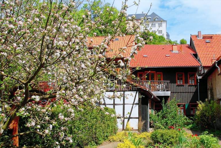 Ferienhaus Stolberg (Harz)