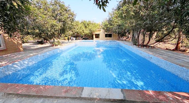 The Gir View Resort — photo 3