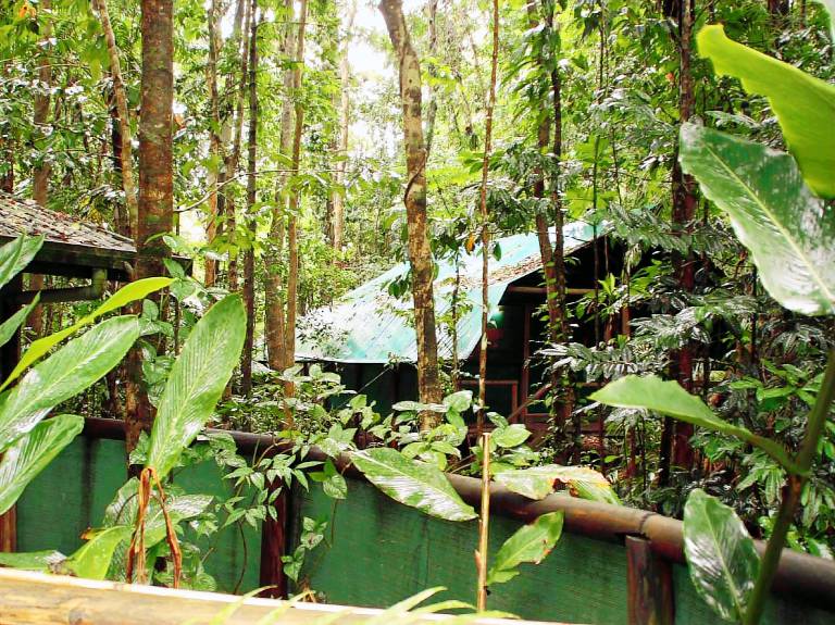 Resort  Upper Daintree