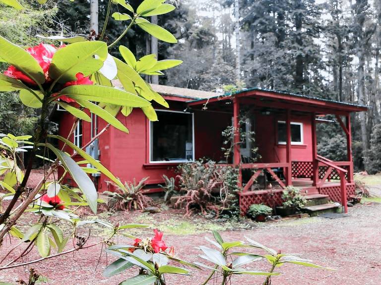 Cabin Fort Bragg