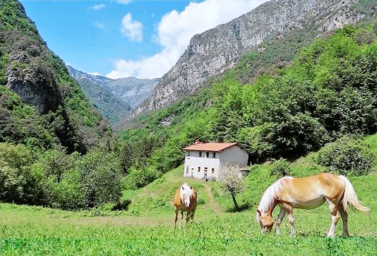 La Casina di Nonno Bigi: Genziana — photo 3
