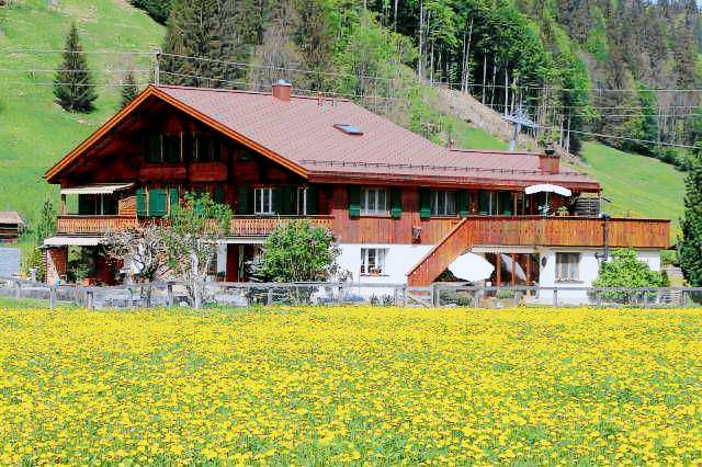 Appartement Saanen
