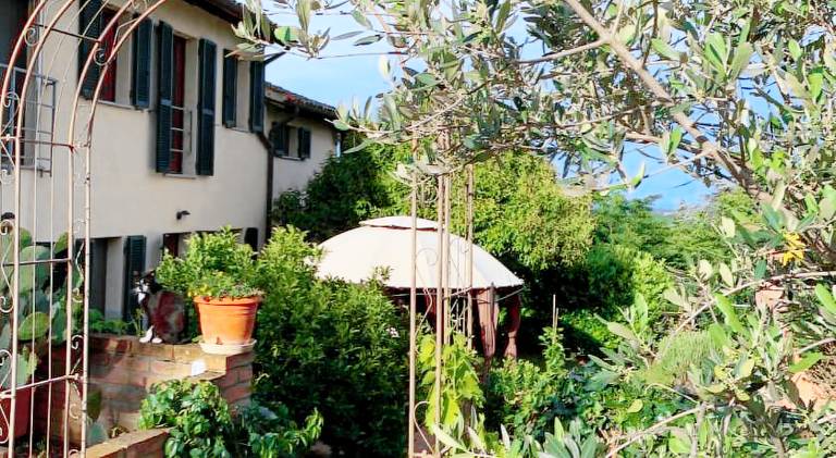 Ca' degli Ovi b&b — photo 2