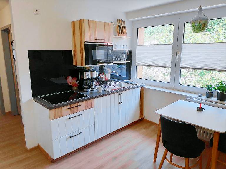 Apartment Fridolin