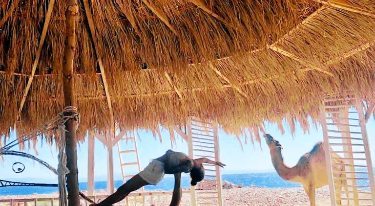COSMOS eco Lodge and Spiritual community in Dahab