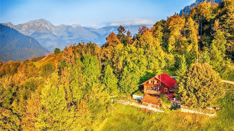 Chalet  Rossinière