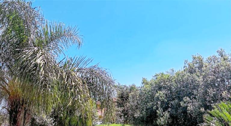 50 m&sup2; Ferienwohnung