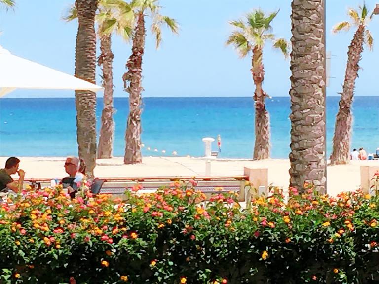 Apartamento Alicante