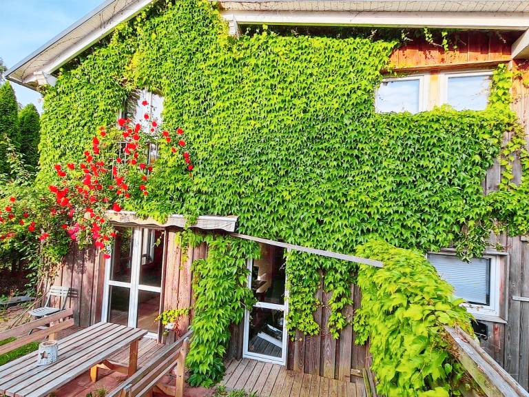 Ferienhaus Stralsund