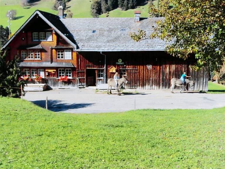 Ferienhaus Wald