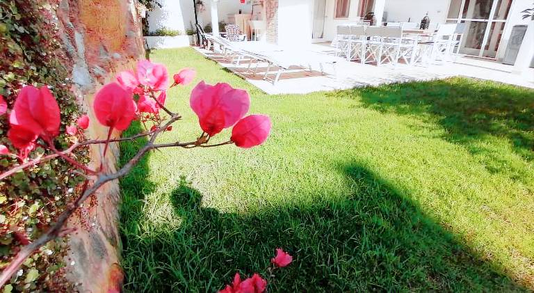 House | Pets allowed in Santa Cesarea Terme