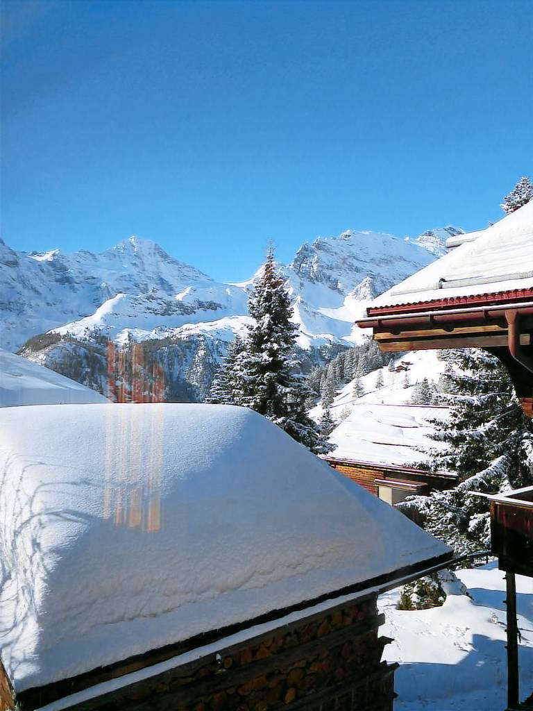 Chalet Alpenblick 4 Bett Wohnung