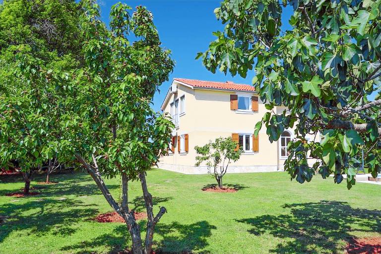 Villa with pool & BBQ | Pets are welcome — photo 2
