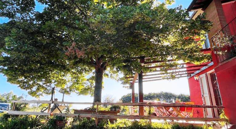 Podere Orzale Agriturismo e Cavalli in Casciana Terme Lari
