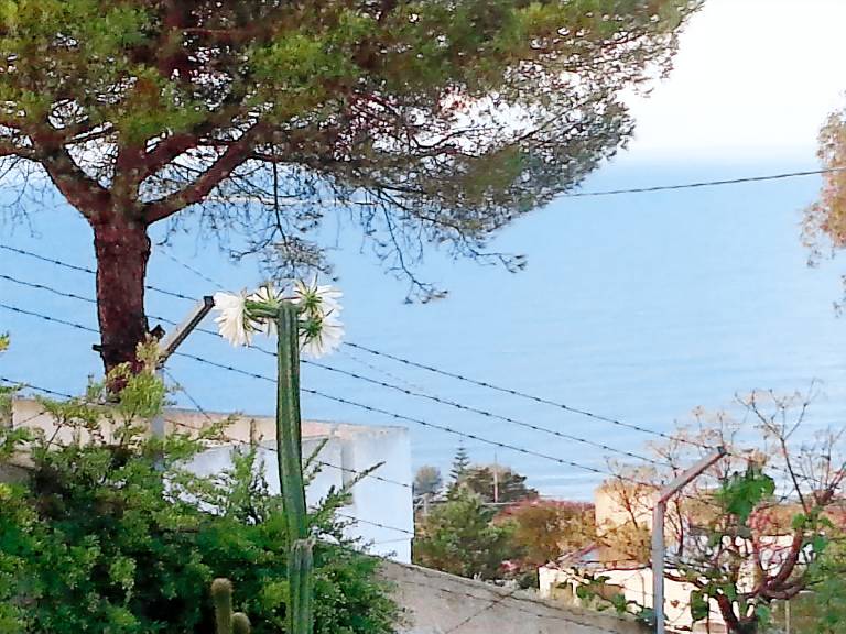 Villa Marina di Pescoluse