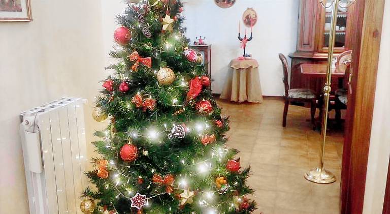 Nice rental apartment | Pets allowed — photo 5
