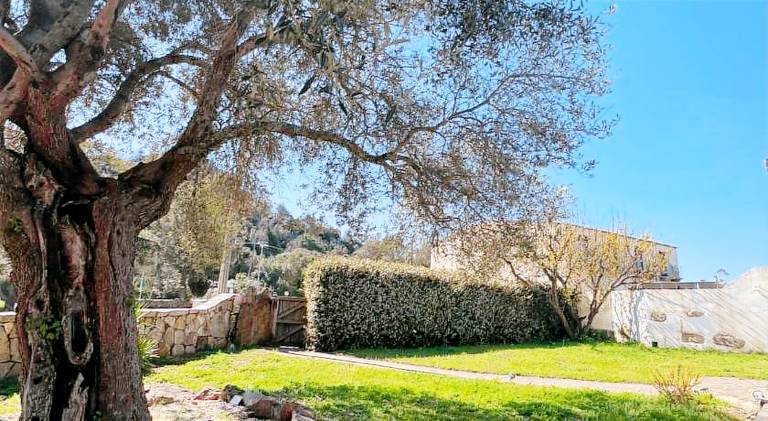 Beautiful house | Pet-friendly — photo 5