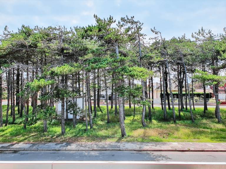 Appartement  Le Touquet-Paris-Plage
