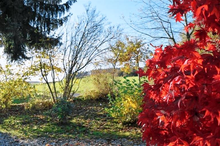 Ferienwohnung Dierdorf