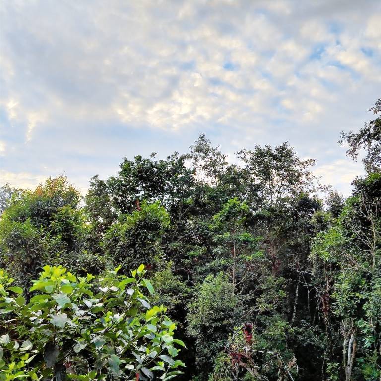 foto6
