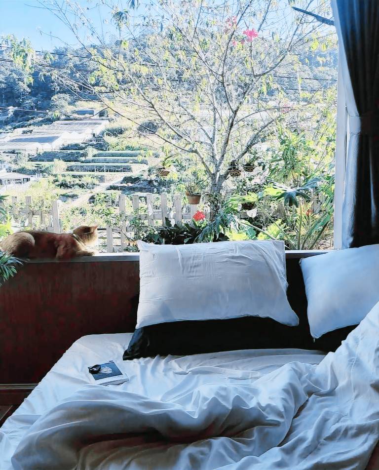 Ample vacation home with barbecue & garden | Suitable for remote work | Dogs allowed — photo 2