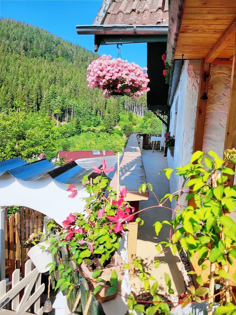 Apartment 'Schwarzwaldglück' with Mountain View, Shared Terrace and Wi-Fi in Baiersbronn