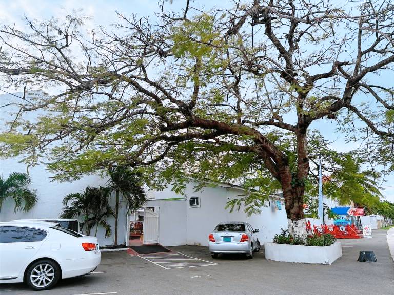 The Island Garden Hotel