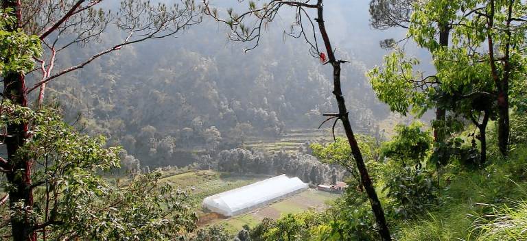 The Silent Valley along River Kalsa — photo 5